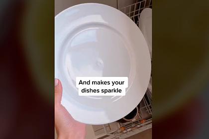 Блогерша показала лайфхак для мытья посуды и нарвалась на критику сантехников