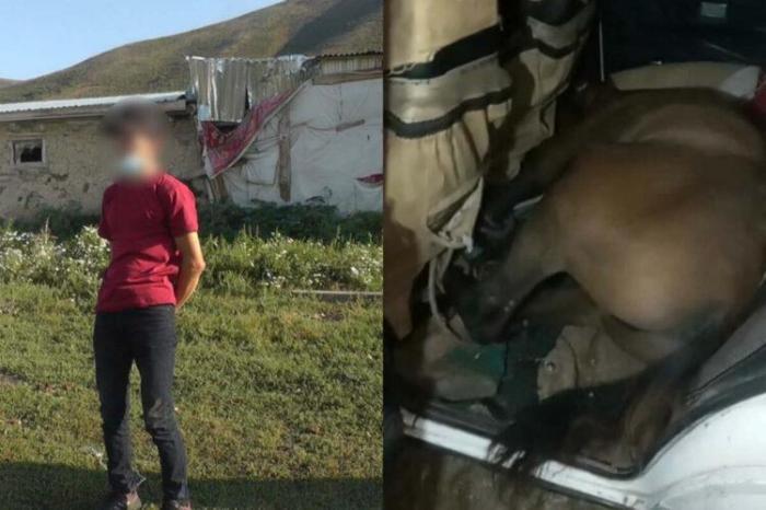 Сельчанин в ВКО похищал лошадей, запихивая их целиком в салон «Жигули»