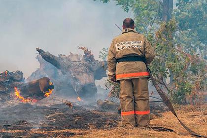 Путин поручил ежегодно выделять миллиарды рублей на охрану лесов от пожаров