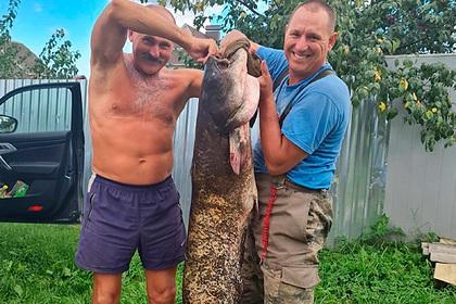 Рыбаки поймали на удочку 36-килограммового сома под Смоленском
