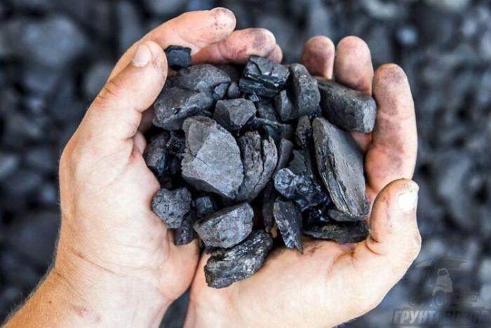 Названа стоимость угля для казахстанцев зимой