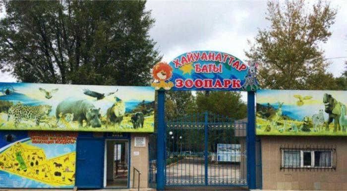 Директор зоопарка наказана выговором за окровавленных животных в Караганде
