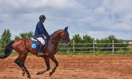 Сборная Казахстана по конному спорту проводит УТС в Алматинской области