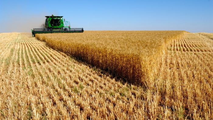 С начала года украинские фермеры получили более миллиарда гривен бюджетных дотаций