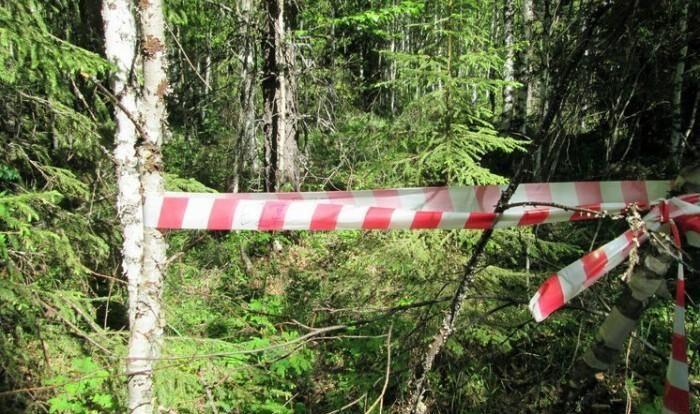 Тело убитой девушки нашли в лесу Уральска