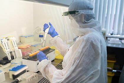 В России начали исследовать одновременную вакцинацию от гриппа и COVID-19