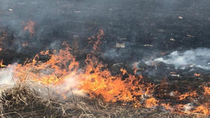 Степные пожары бушуют в Карагандинской области: есть пострадавшие
                18 сентября 2021, 14:19