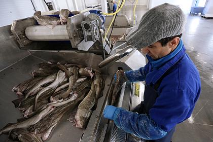 Российским рыбакам повысят налоги