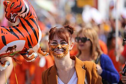 Во Владивостоке проведут праздник в честь амурского тигра