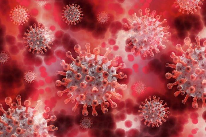 Появится ли штамм коронавируса, против которого не помогут антитела