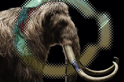 В Якутии оценили шансы заселения региона клонированными американскими мамонтами