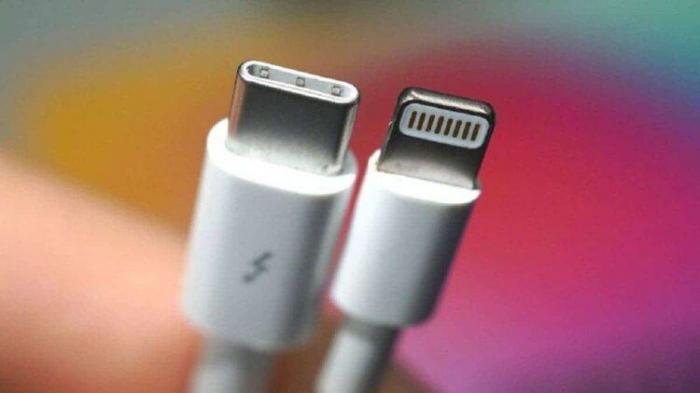 В Apple объяснили, почему их гаджеты не перейдут на зарядные устройства Type-C