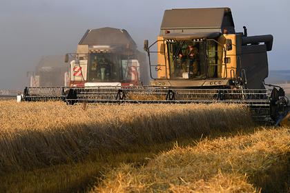 Россия вывезла из страны рекордный за всю историю объем зерна