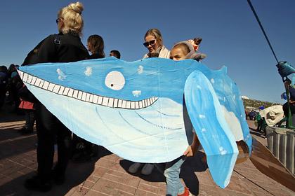 На Камчатке прошел экологический фестиваль «Море жизни»