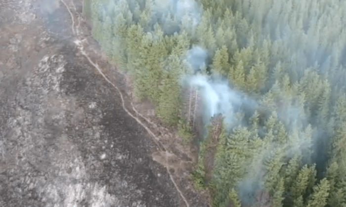 Почти сутки горят леса в Алматинской области