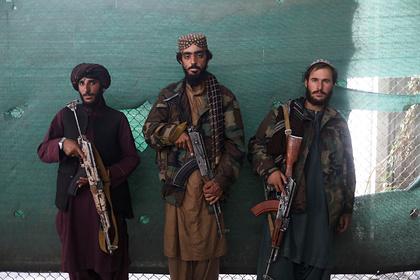 Талибы опровергли запрет на бритье бород и стильные прически
