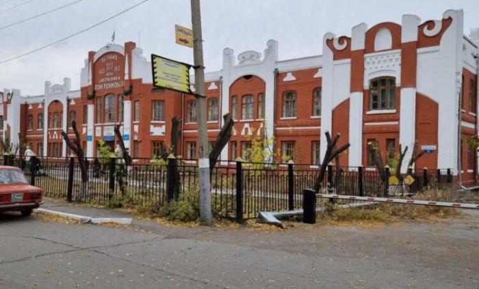 Какой чудесный пень: в Петропавловске около училища зачем-то искромсали здоровые деревья