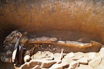 Археологи нашли погребение в каменном ящике и черепа животных на Алтае