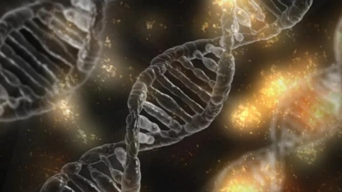 Обнаружен ген, блокирующий смертельные вирусы
                01 октября 2021, 05:25