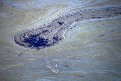 Разлив нефти в США привел к экологической катастрофе