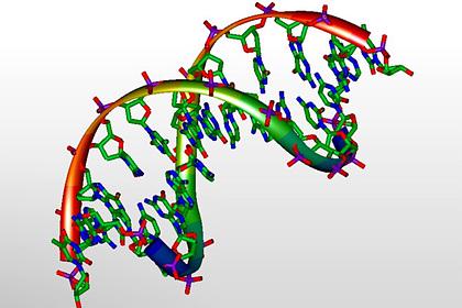 В ДНК научились быстро записывать информацию