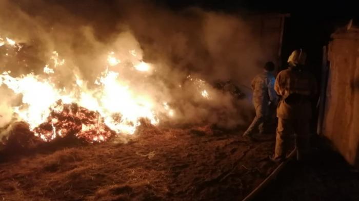 Тела троих детей нашли на месте сгоревшего сена в Атырауской области
                06 октября 2021, 10:46