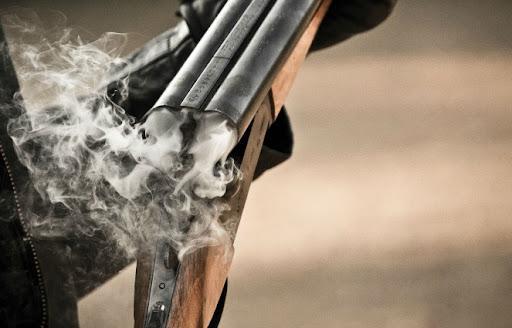 Казахстанец подстрелил из ружья чужих лошадей за то, что они зашли в его сад