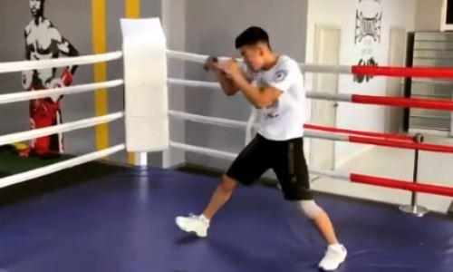 В Сети появилось видео с тренировки молодого чемпиона WBC и WBO из Казахстана