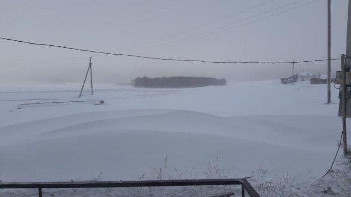 Бабушку в Павлодарской области акимат заставил извиниться за видео о выпавшем снеге