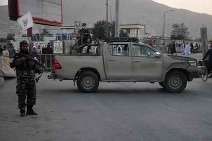 Названы главные источники доходов «Талибана»
