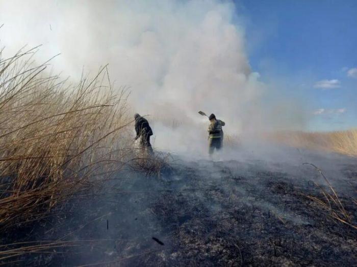 В Атырауской области шестые сутки тушат пожар на границе в Россией