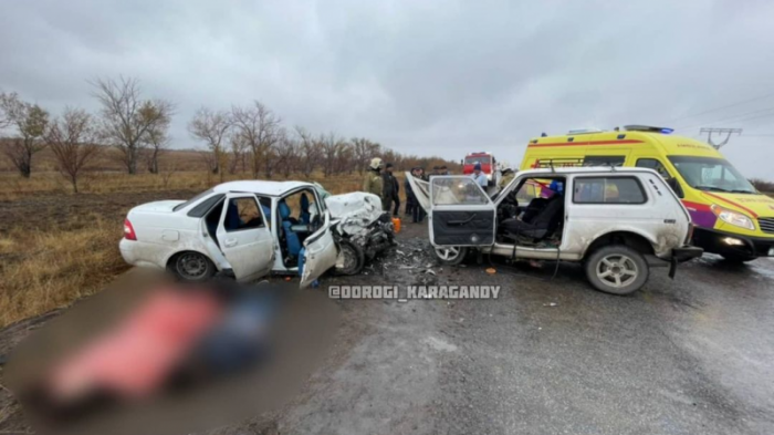 Два парня и женщина погибли в жуткой аварии под Карагандой
                12 октября 2021, 02:30