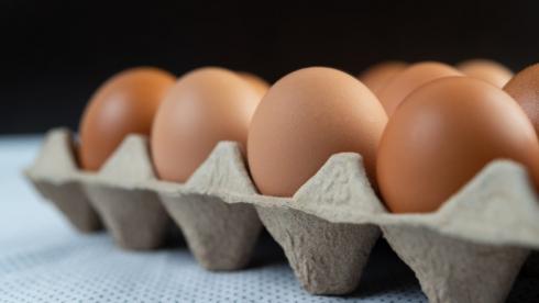 Яйцам предсказали рост до 700 тенге за десяток