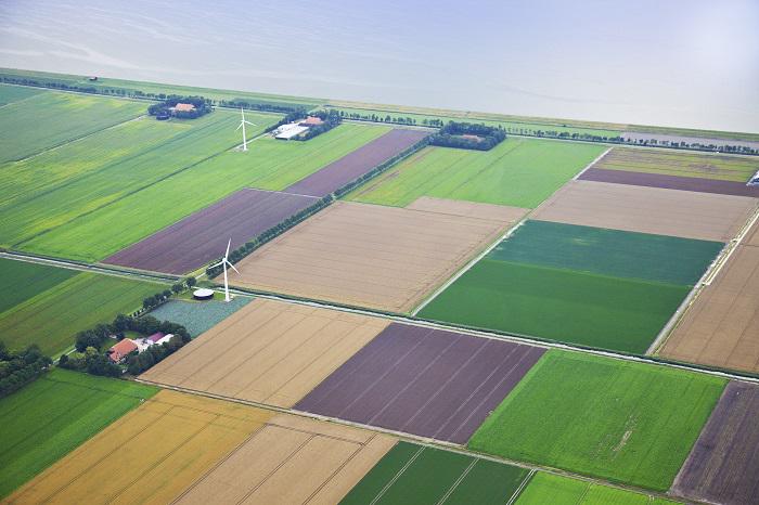 Средняя цена 1 га сельхозземли в Украине составляет 43,9 тыс. гривен, — Лещенко