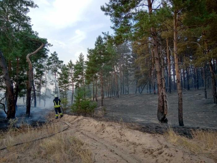 В 7 областях Украины объявлена очень высокая пожарная опасность