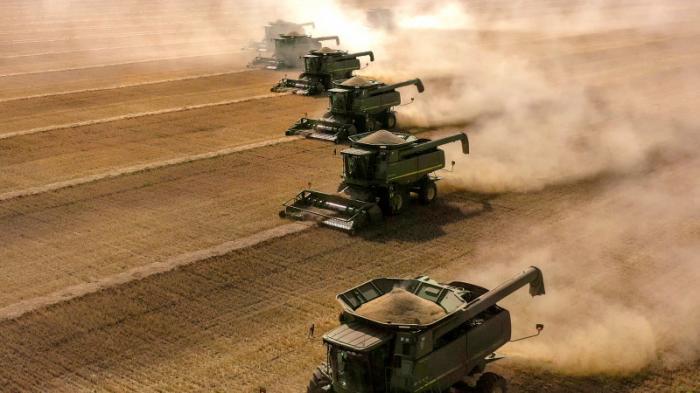 Токаев: Урожайность пшеницы может снизиться почти на 40 процентов
                13 октября 2021, 18:15