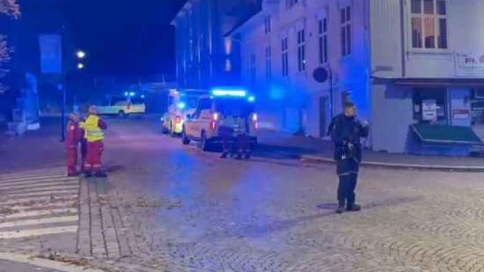 Мужчина застрелил из лука 5 человек в Норвегии
                14 октября 2021, 06:15