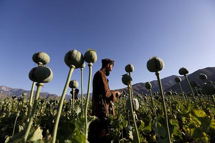В Таджикистане сообщили о пресечении крупного канала наркотрафика из Афганистана