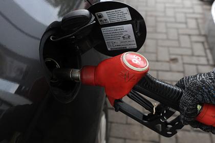 Новак оценил эффективность работы властей над ценами на бензин