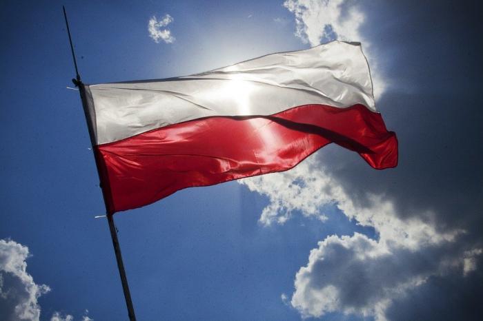 Польша построит стену от мигрантов на границе с Беларусью