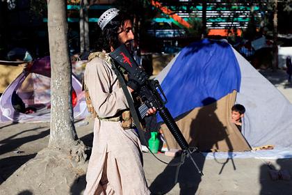 В МИД России заявили о снижении антитеррористического потенциала талибов