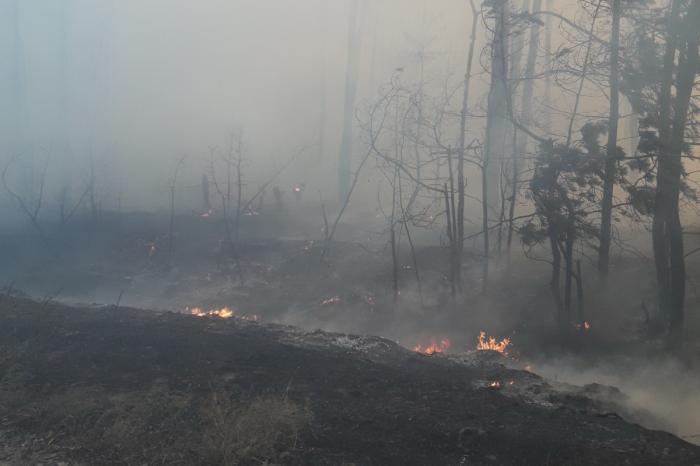 Спасатели предупредили о пожароопасности. Под угрозой 8 областей Украины