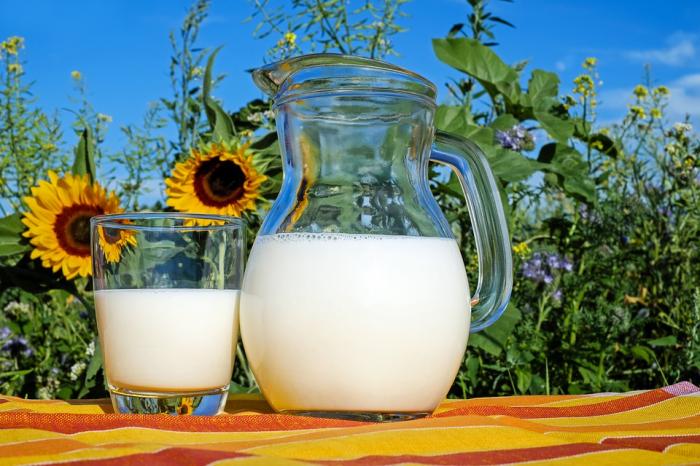 В сентябре производство молока уменьшилось на 5%