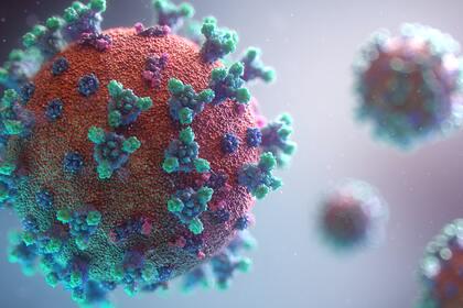 В Великобритании раскрыли подробности о новом штамме коронавируса