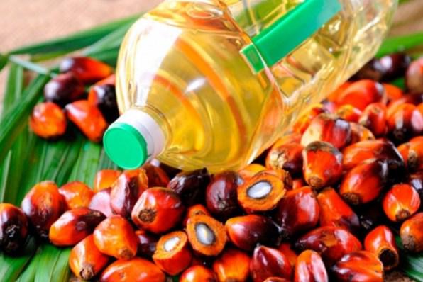 В Украину вырос импорт пальмового масла. Откуда его привозили в страну