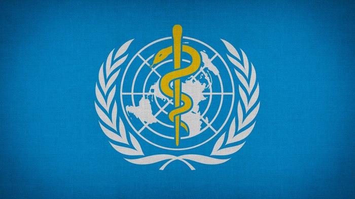 ВОЗ проведет встречу с 20-ю богатыми странами, чтобы убедить их активнее жертвовать вакцины