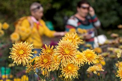 В Крыму подготовили фотозону из живых цветов к Балу Хризантем