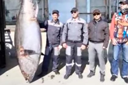 Российские рыбаки выловили тунца-гиганта у берегов Курил