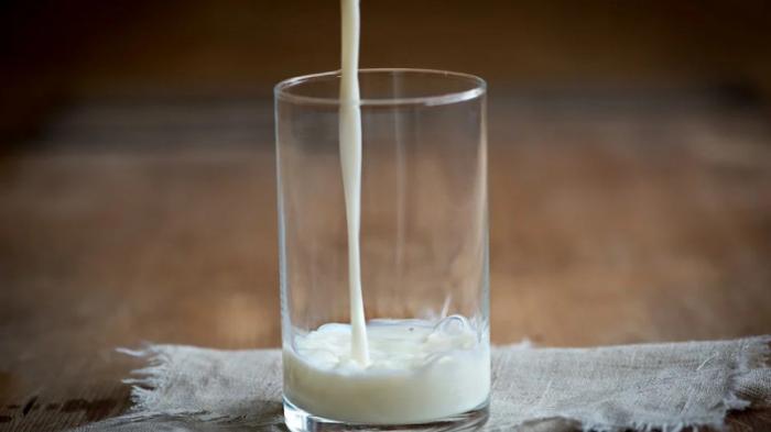 Врач предупредила о пагубном влиянии молока на организм
                25 октября 2021, 07:32