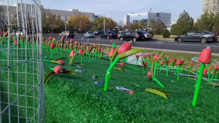 Пластиковые тюльпаны за 15 миллионов тенге в Актау начали разваливаться
                25 октября 2021, 11:42